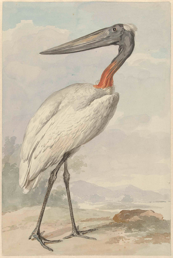 aert-schouman-1770-jabiroe-stork-mycteria-jabiroe-art-print-fine-art-reproduction-wall-art-id-ahk5wwkhn
