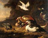melchior-d-hondecoeter-1675-ducks-art-print-fine-art-reproduction-wall-art-id-ai4rz7svc