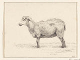 jean-bernard-1812-standing-sheep-left-art-print-fine-art-reproduction-wall-art-id-aign0vfag