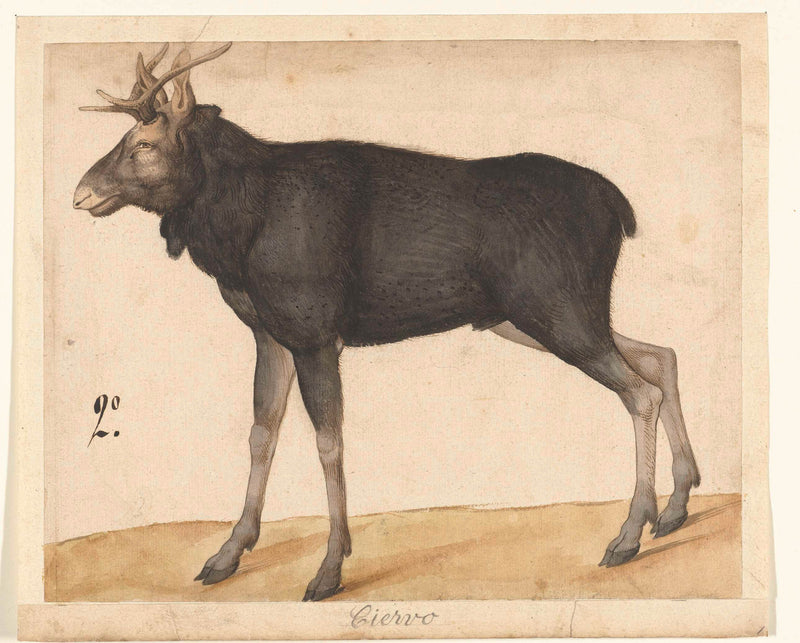 unknown-1560-moose-art-print-fine-art-reproduction-wall-art-id-ajcd2y5hc