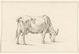 jean-bernard-1775-grazing-cow-right-art-print-fine-art-reproduction-wall-art-id-ak2ldsqek