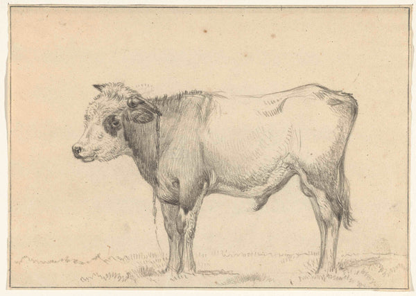 jean-bernard-1775-standing-young-bull-left-art-print-fine-art-reproduction-wall-art-id-ak6dzvm11