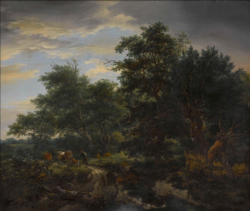 jacob-isaacksz-van-ruisdael-1653-forest-scene-art-print-fine-art-reproduction-wall-art-id-alwn9qr30