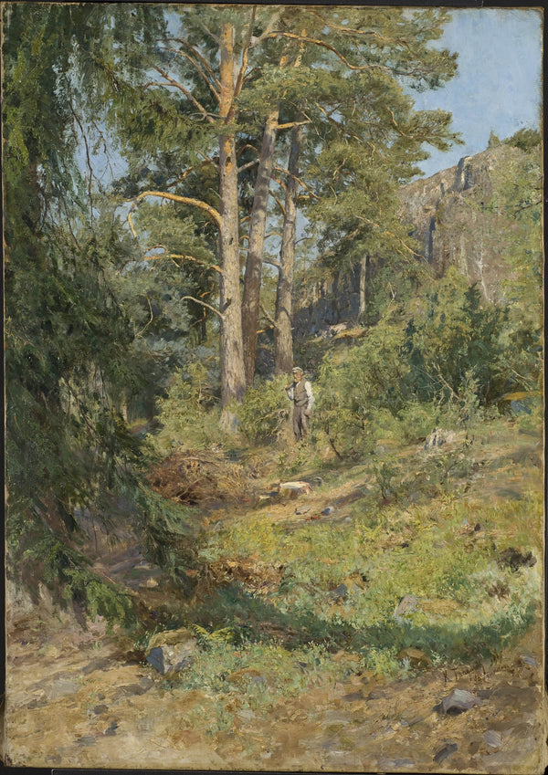 carl-tragardh-1887-pine-forest-skutudden-art-print-fine-art-reproduction-wall-art-id-alza7bgfq