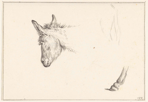 jean-bernard-1818-head-and-leg-of-a-donkey-art-print-fine-art-reproduction-wall-art-id-am4iok0mh