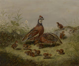 arthur-fitzwilliam-tait-1856-kwartel-en-jonge-kunstprint-fine-art-reproductie-muurkunst-id-am4v5h3gd