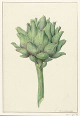 jean-bernard-1797-artichoke-art-ebipụta-fine-art-mmeputa-wall-art-id-am569js99