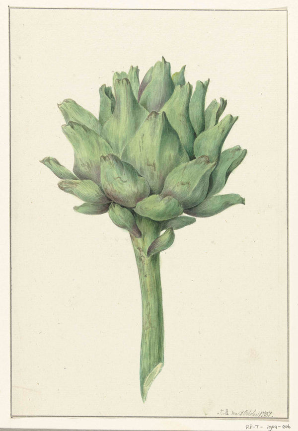 jean-bernard-1797-artichoke-art-print-fine-art-reproduction-wall-art-id-am569js99