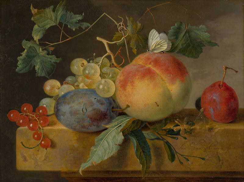 jan-van-huysum-fruit-still-life-art-print-fine-art-reproduction-wall-art-id-am5ff1h29