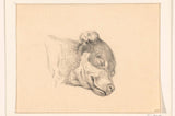 吉恩·伯纳德（Jean-Bernard）1818年，一个睡觉的狗头艺术印刷精美的艺术复制品墙上的艺术id-aminnryw3