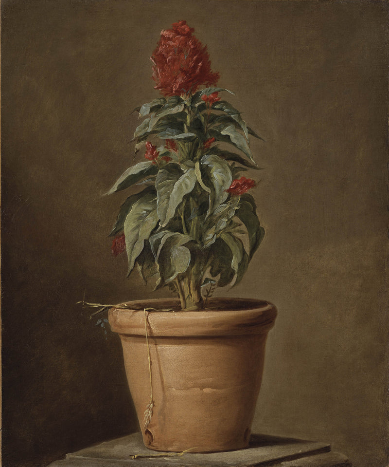 henri-horace-roland-delaporte-a-potted-plant-art-print-fine-art-reproduction-wall-art-id-amnq9pii7