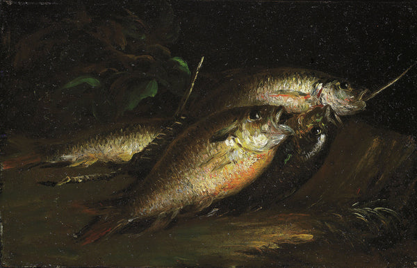 shepard-alonzo-mount-1842-fish-art-print-fine-art-reproduction-wall-art-id-ampb13mst