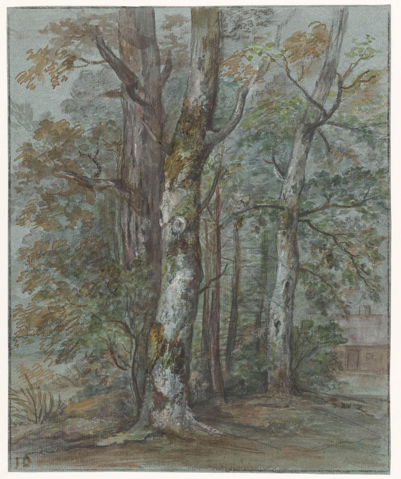 jan-dasveldt-1780-tree-study-art-print-fine-art-reproduction-wall-art-id-amtlz6akd