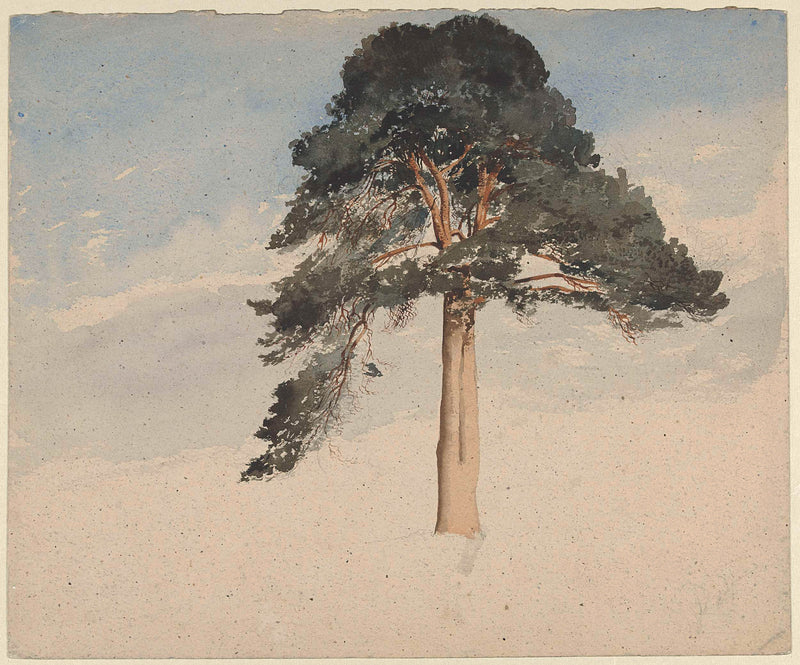 william-leighton-leitch-1814-scotch-pine-art-print-fine-art-reproduction-wall-art-id-amuuu19cn