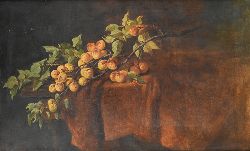 adam-ludwig-kunz-apricot-branch-art-print-fine-art-reproduction-wall-art-id-andn3gcn5