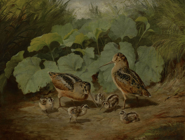 arthur-fitzwilliam-tait-1862-woodcock-and-young-art-print-fine-art-reproduction-wall-art-id-anj5kdewe