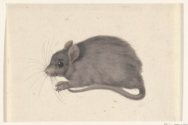 jean-bernard-1775-mouse-left-art-print-fine-art-reproduction-wall-art-id-anmhemvfu