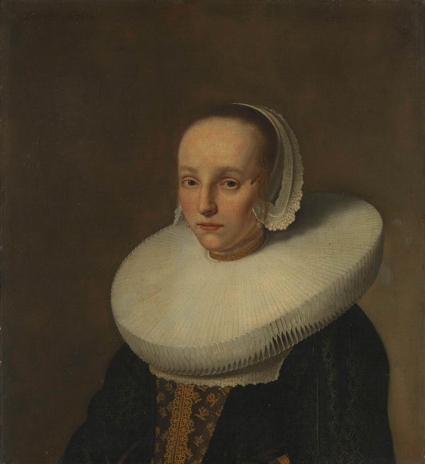 paulus-hennekyn-1658-portrait-or-anna-van-der-does-1609-1650-art-print-fine-art-reproduction-wall-art-id-anmswadzp