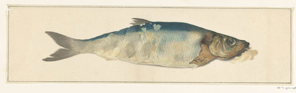 jean-bernard-1775-fish-partly-perish-art-print-fine-art-reproduction-wall-art-id-anr4knbwx