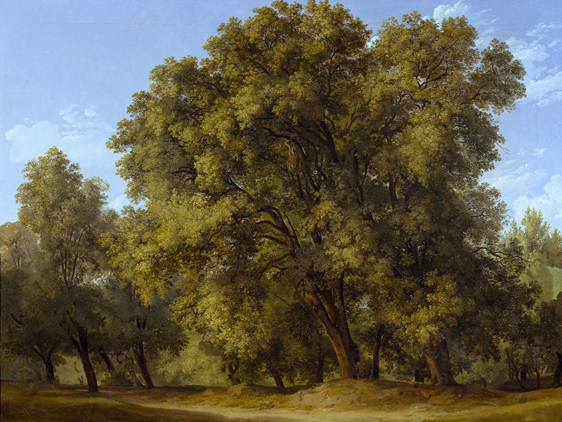 johann-christian-reinhart-1793-forest-scene-art-print-fine-art-reproduction-wall-art-id-any167xmg