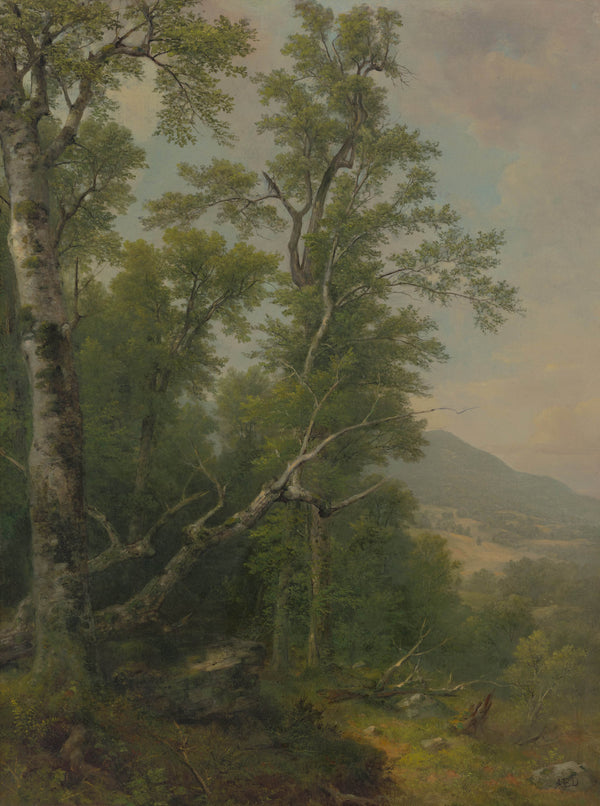asher-brown-durand-1850-study-of-trees-art-print-fine-art-reproduction-wall-art-id-ao1evzamo