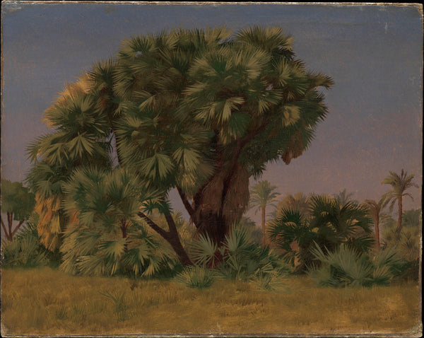 jean-leon-gerome-1868-study-of-palm-trees-art-print-fine-art-reproduction-wall-art-id-aoiei2nfu