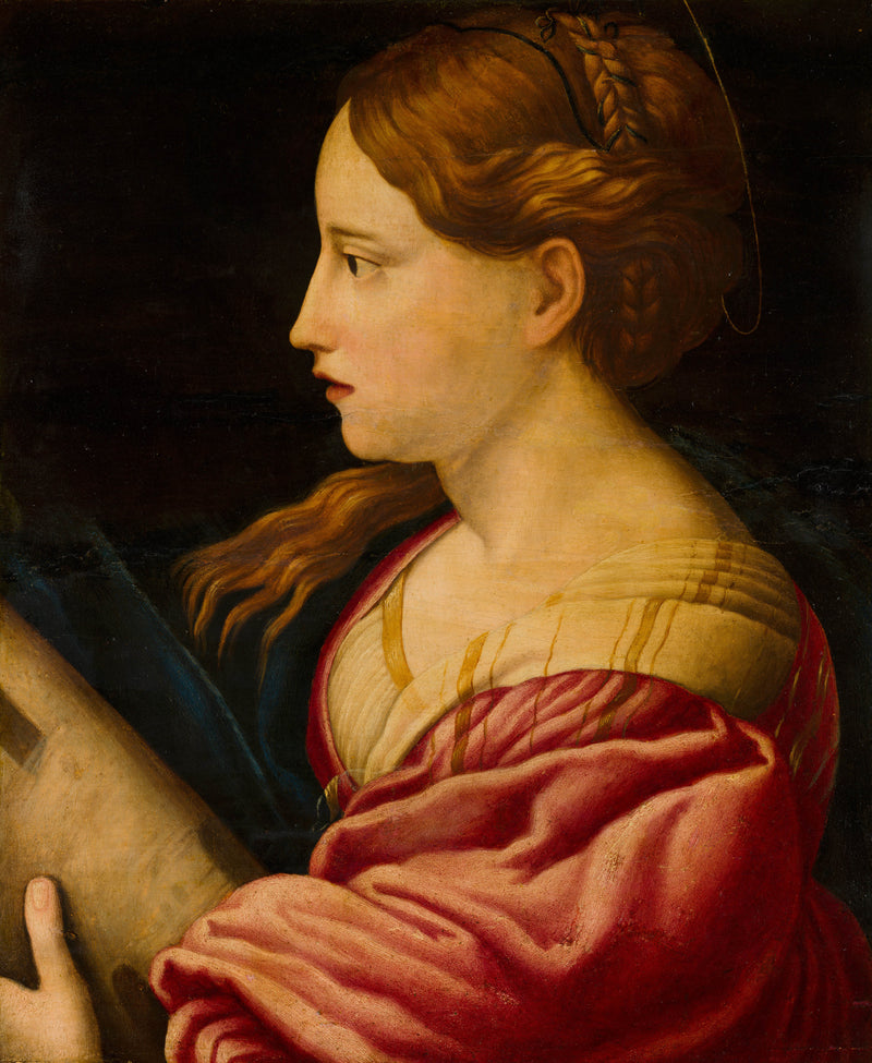 parmigianino-st-barbara-art-print-fine-art-reproduction-wall-art-id-aopu3tlyl