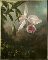 martin-johnson-heade-1873-orchid-blossoms-art-print-reprodukcja-dzieł sztuki-sztuka-ścienna-id-aor2ggbux