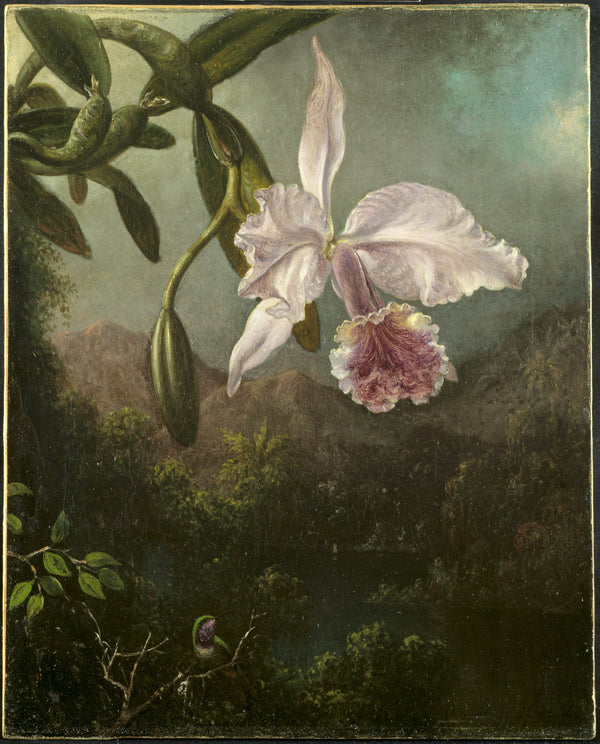 martin-johnson-heade-1873-orchid-blossoms-art-print-fine-art-reproduction-wall-art-id-aor2ggbux