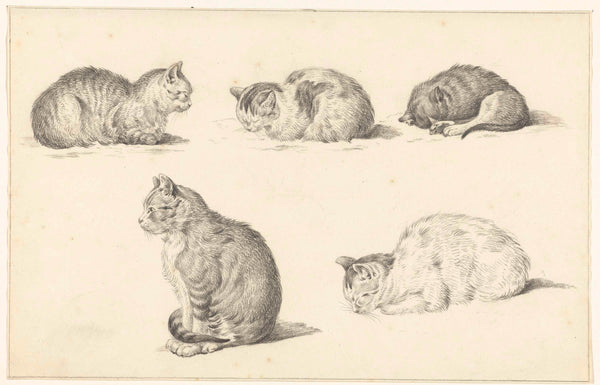 jean-bernard-1812-fives-studies-of-cats-art-print-fine-art-reproduction-wall-art-id-aotezxzpj