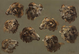 未知-1700-公羊頭研究-藝術印刷-精美藝術-複製品-牆藝術-id-aow26d471