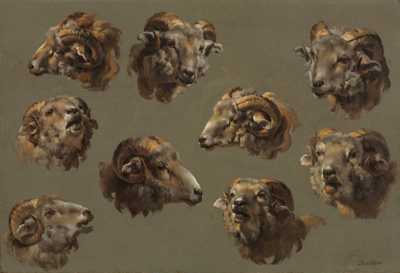 unknown-1700-studies-of-ram-heads-art-print-fine-art-reproduction-wall-art-id-aow26d471