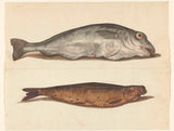 unknown-1560-haddock-art-print-fine-art-reproduction-wall-art-id-aozokjhwj