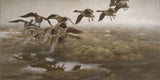 Bruno-Liljefors-1907-wildgeese-bosettere-ling-art-print-fine-art-gjengivelse-vegg-art-id-apcrnrfkm
