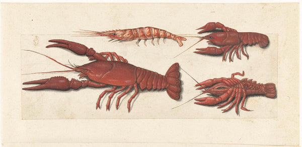unknown-1560-langoustine-two-crayfish-and-prawn-art-print-fine-art-reproduction-wall-art-id-apdchilut