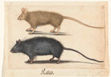 未知 1560 大鼠和小鼠艺术印刷精美艺术复制墙艺术 id-ape4wium6