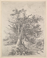 约翰·克罗姆（John-crome）1811-树树干和车道-艺术印刷-精美的艺术复制品-墙-艺术-id-apk0ek157