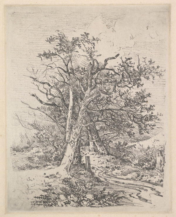 john-crome-1811-tree-trunks-and-lane-art-print-fine-art-reproduction-wall-art-id-apk0ek157