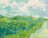 וינסנט-ואן-גוך -1890-שדות חיטה ירוקים-עושי-אמנות-הדפס-אמנות-רפרודוקציה-קיר-אמנות-id-aporjo7oc
