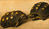 albert-eckhout-1640-studie-av-två-brasilianska-sköldpaddor-konsttryck-finkonst-reproduktion-väggkonst-id-apzs67al2