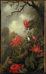 martin-johnson-heade-1875-hummingbird-and passionflowers-art-print-fine-art-reproduction-wall-art-id-aqr6hi0ae
