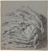 unknown-1600-cauliflower-art-print-fine-art-reproduction-wall-art-id-aqvg95ohi