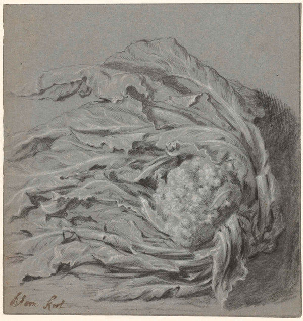 unknown-1600-cauliflower-art-print-fine-art-reproduction-wall-art-id-aqvg95ohi