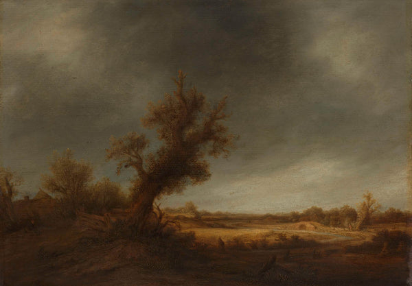 adriaen-van-ostade-1640-landscape-with-an-old-oak-art-print-fine-art-reproduction-wall-art-id-ar83qql5j