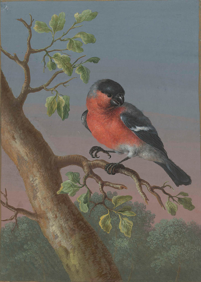 barbara-regina-dietzsch-1716-bullfinch-art-print-fine-art-reproduction-wall-art-id-arcwf28m8