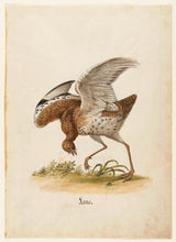 sconosciuto-1560-goose-art-print-riproduzione-d'arte-wall-art-id-aryb4e1ry