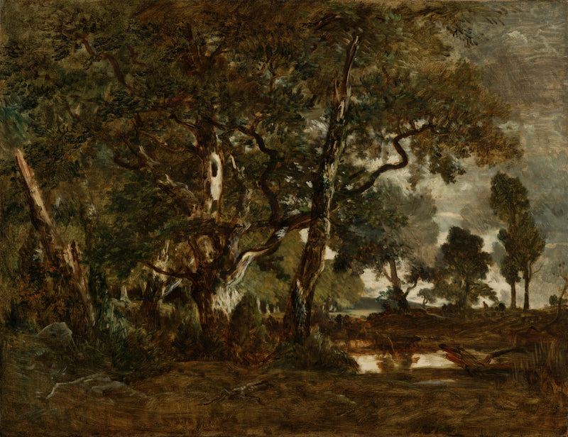 theodore-rousseau-1855-forest-of-fontainebleau-cluster-of-tall-trees-art-print-fine-art-reproduction-wall-art-id-arzd85b0k