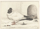 Jean-Bernard-1801-pomba-e-um-ninho-com-um-ovo-impressão-de-arte-reprodução-de-arte-parede-id-as3wgy094