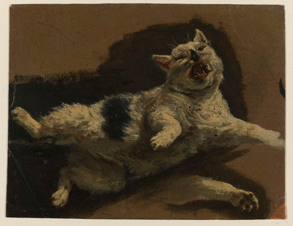 unknown-1646-cat-lying-on-the-back-and-leg-los-art-print-fine-art-reproduction-wall-art-id-aspjrm4kf