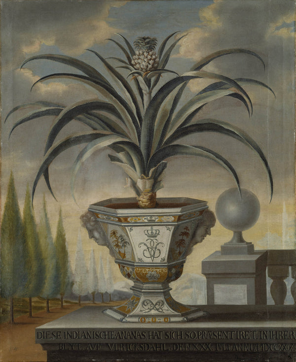 david-von-coln-1729-pineapple-plant-art-print-fine-art-reproduction-wall-art-id-aszhz671s